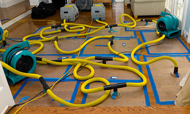 Professional Crawl Space Water Removal technician working in Moreland, ID
